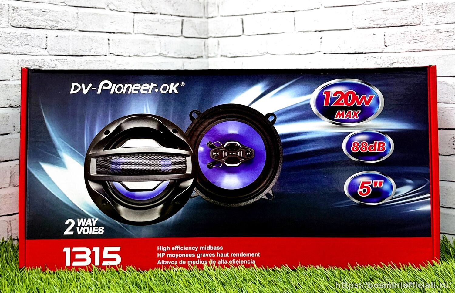 DV-Pioneer.Ok 1315
