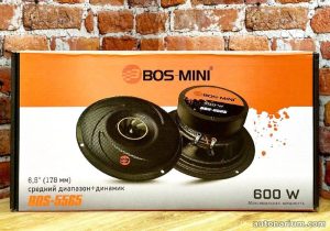 Bos-5565