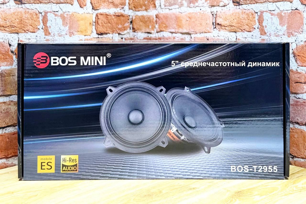 Bos-T2955