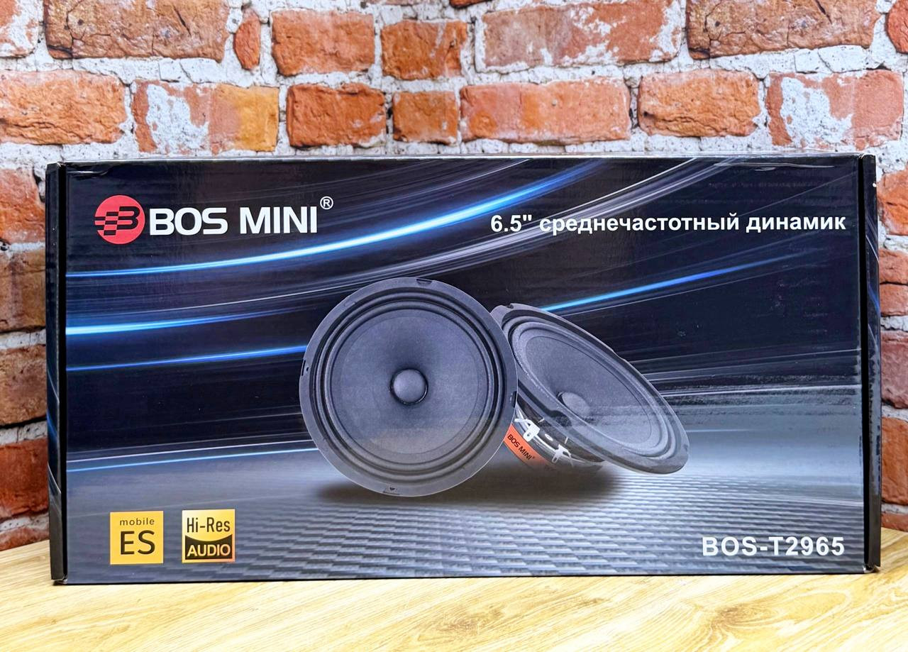 Bos-T2965